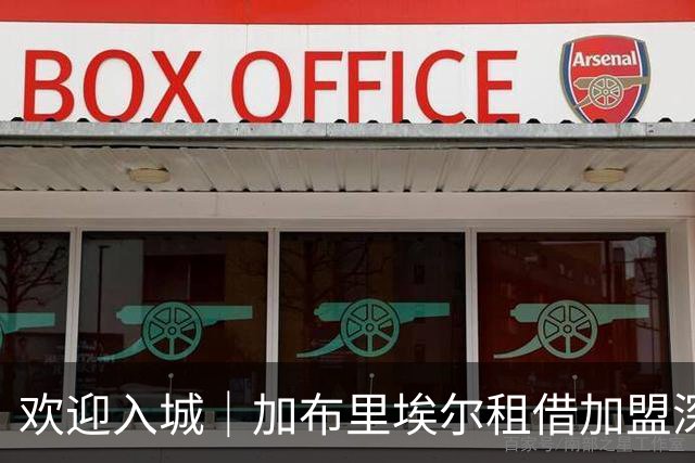 欢迎入城｜加布里埃尔租借加盟深圳新鹏城足球俱乐部